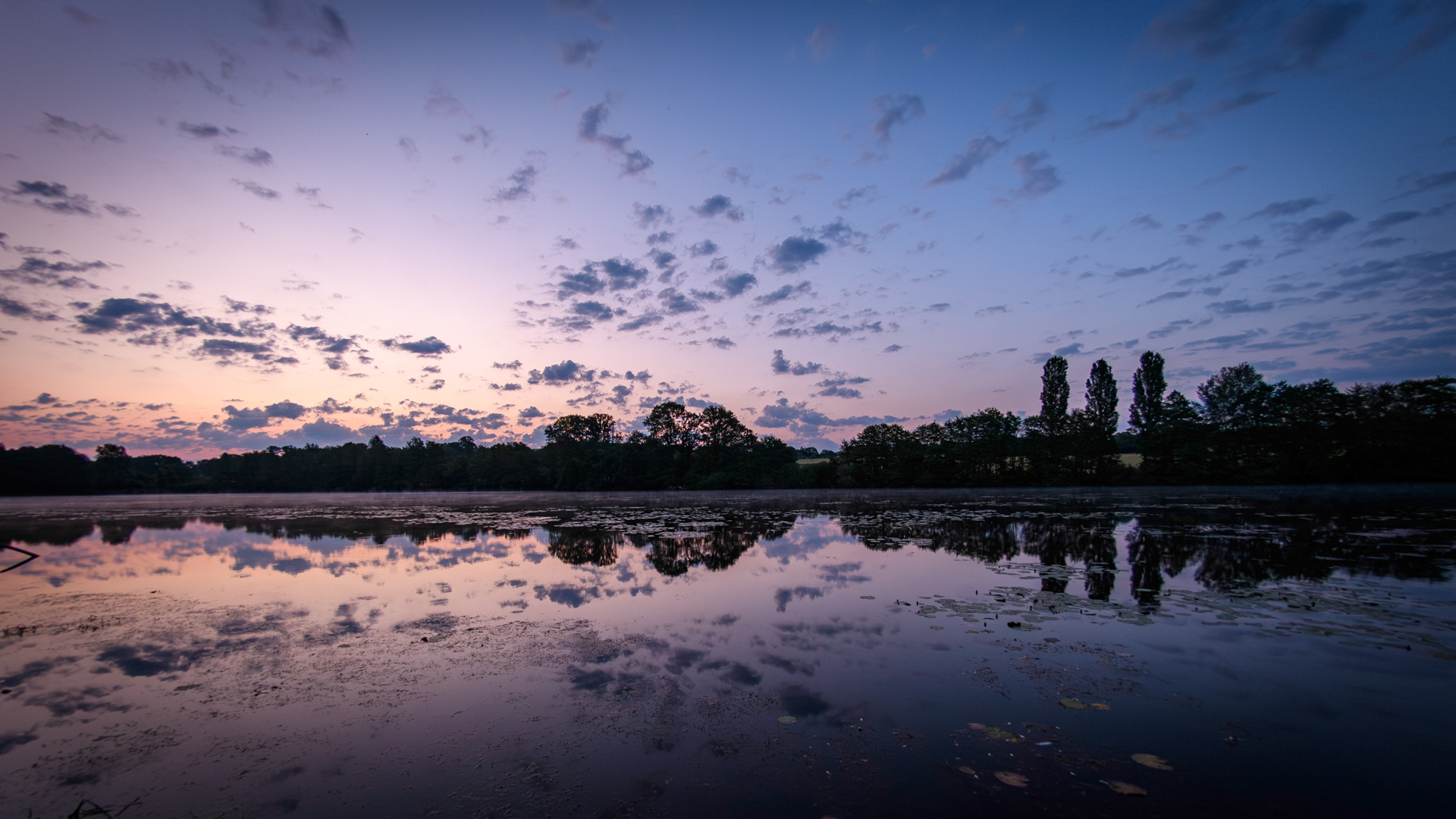 Paysage